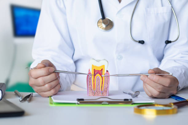 Best Emergency TMJ Treatment in Dilworthtown, PA